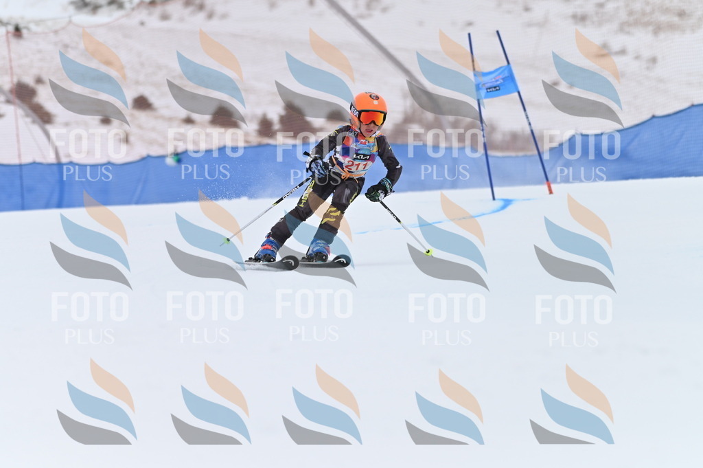 BGV_2455 | holidayphoto