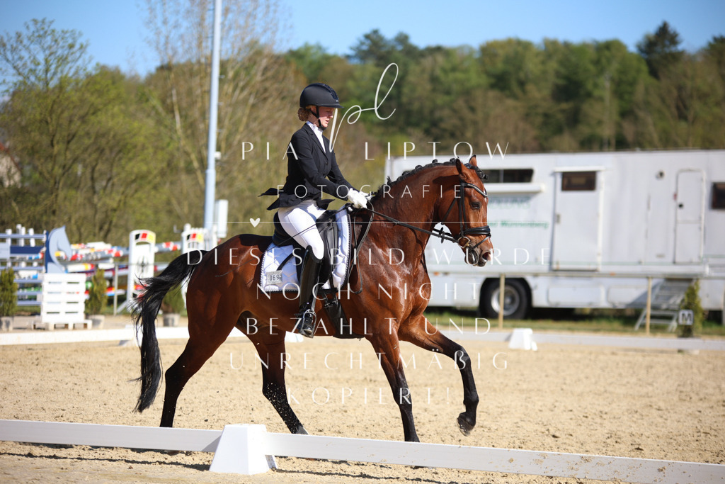 IMGT8934 | pl-fotografie