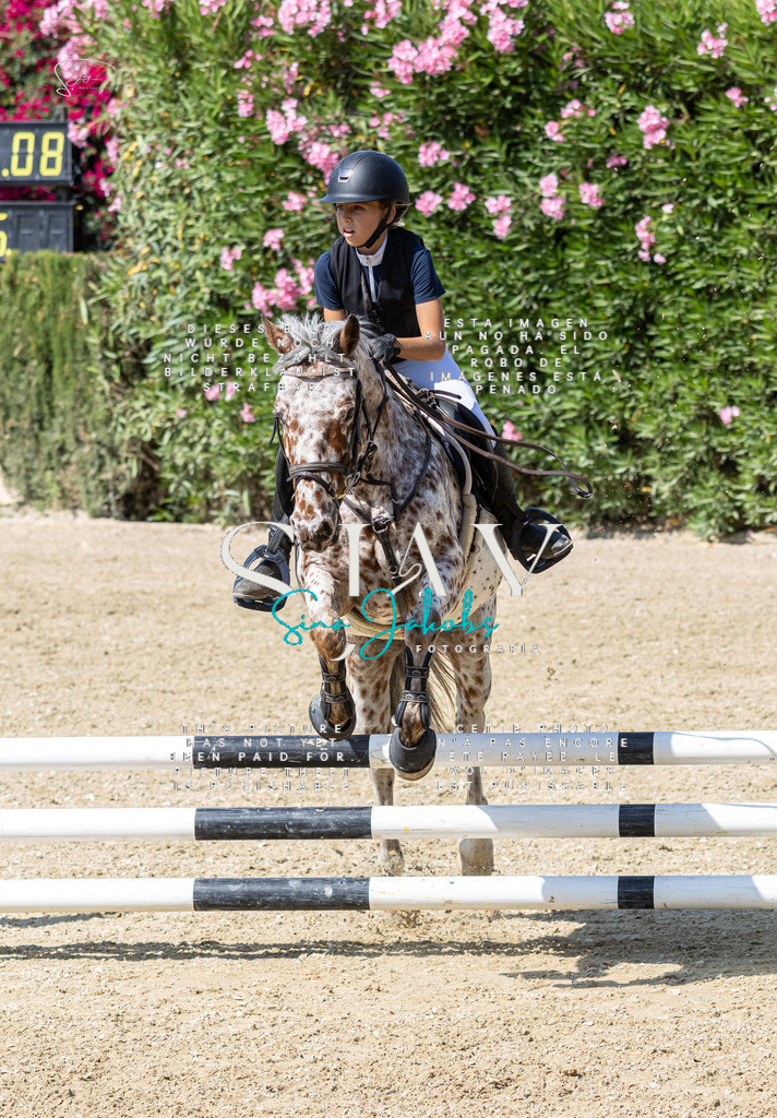 IMG_9790 | s-jay-photography - Realisiert mit Pictrs.com