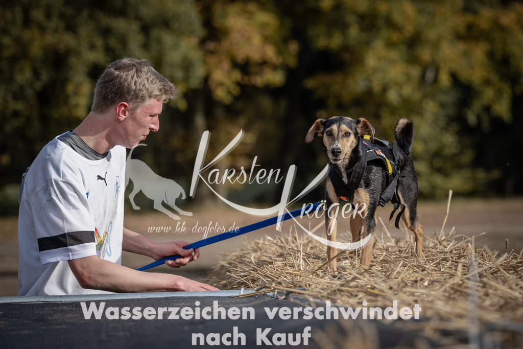 1212_ZZ93643 | kk-dogfotos