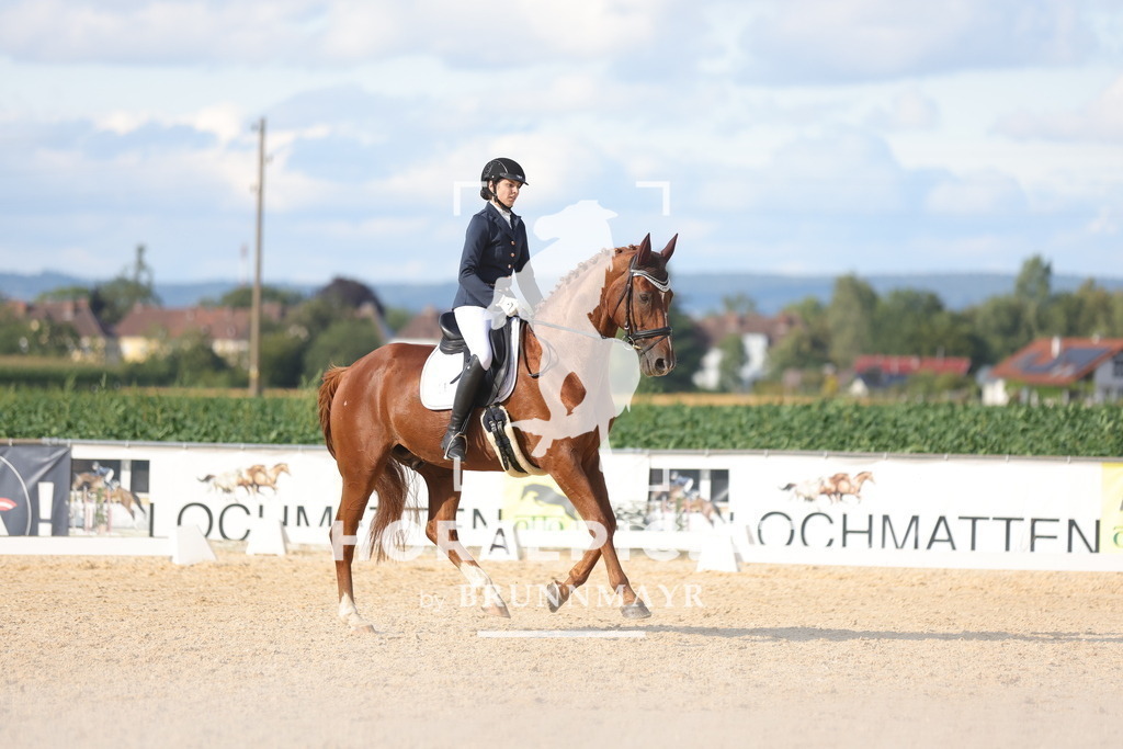 0P6A3061 | Willkommen bei Brunnmayr - Design & Fotografie – Ihrem Spezialisten für Reitturniere und Pferdeveranstaltungen in Oberösterreich, Salzburg und Bayern! Seit über 17 Jahren sind wir leidenschaftlich dabei.