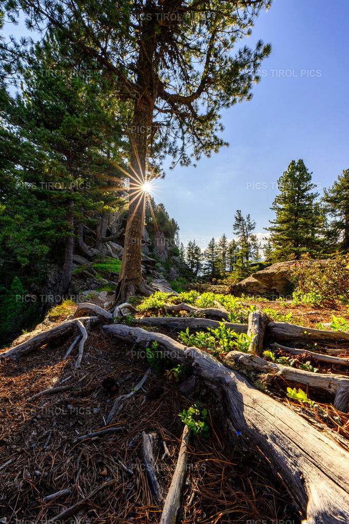DSC_1266-HDR-Bearbeitet | Tirolpics