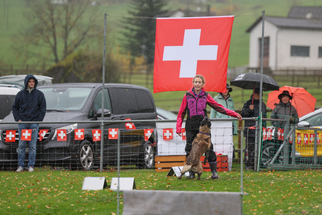 2025_Rally_Obedience_SM-189 | Ich fotografiere Hundeausstellungen, Sportanlässe, Zuchtstätten, Hundezucht, Hundeportrait, Lagotto - Realisiert mit Pictrs.com