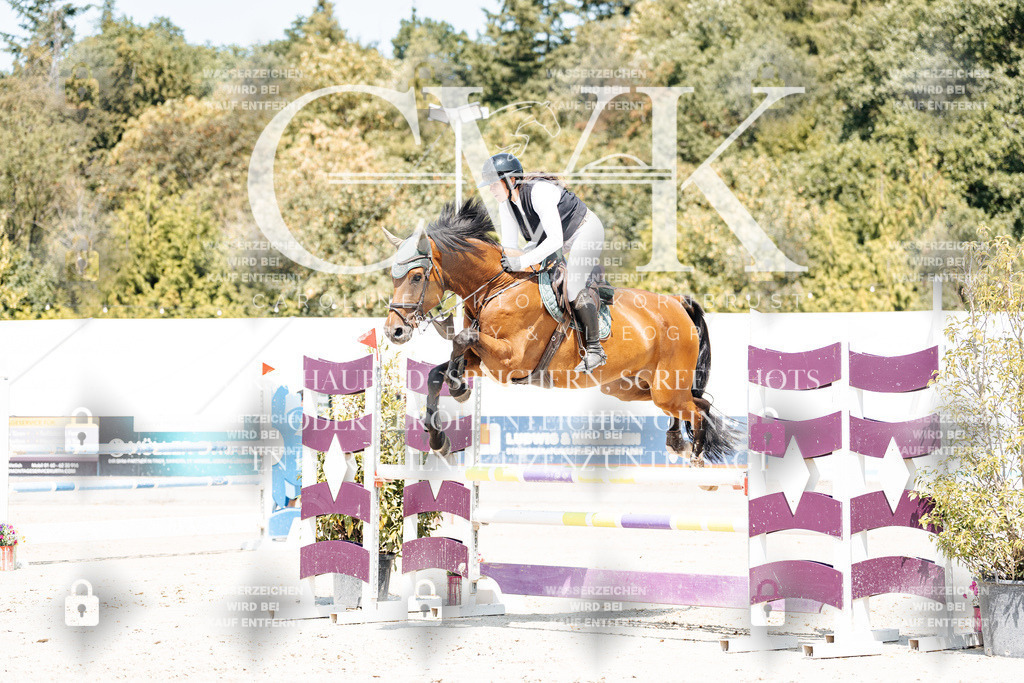 CK901086 | Turnierfotografie Pferdefotografie Trier Rheinland-Pfalz Pferdesport Reitsport Tierfotografie Sportfotografie Pferdevideo Pferdevideografie Equestrianvideography equestrianphotography  - Realisiert mit Pictrs.com
