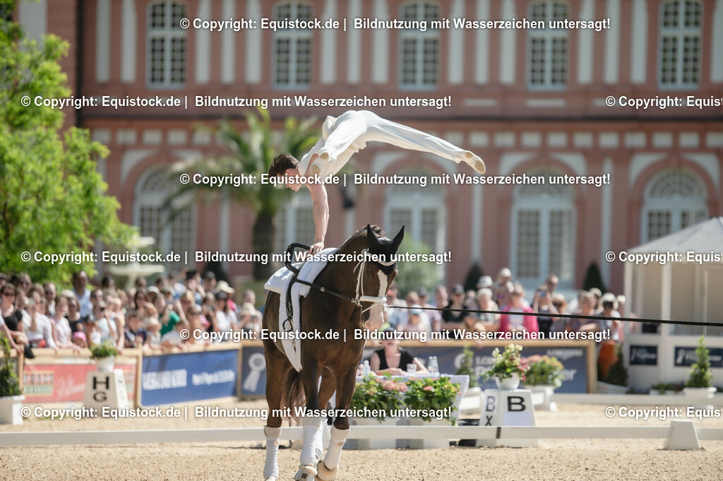 20230528_Voltigieren_NASPA_0087 | equistock