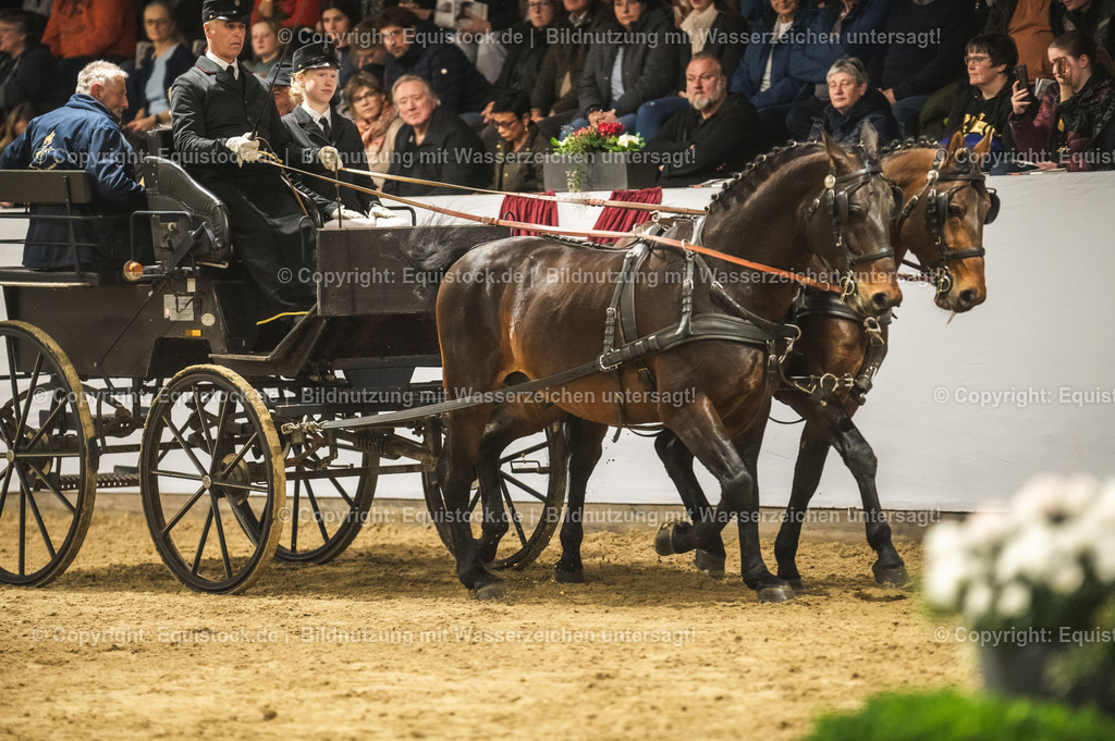 20240302_Hengstvorstellung_Marbach_TOMsPiC_0749-2 | equistock
