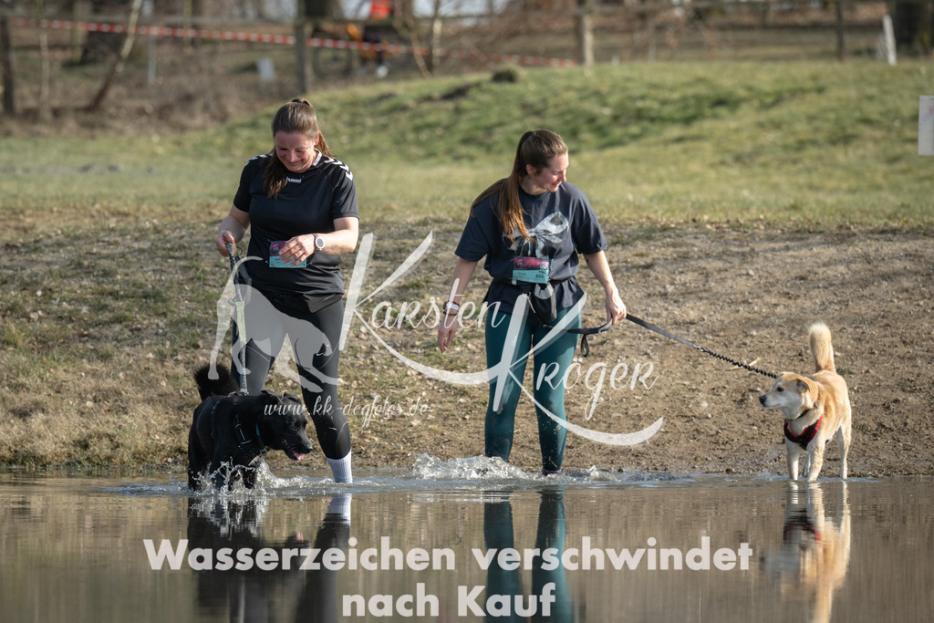 1359_ZZ99239 | kk-dogfotos