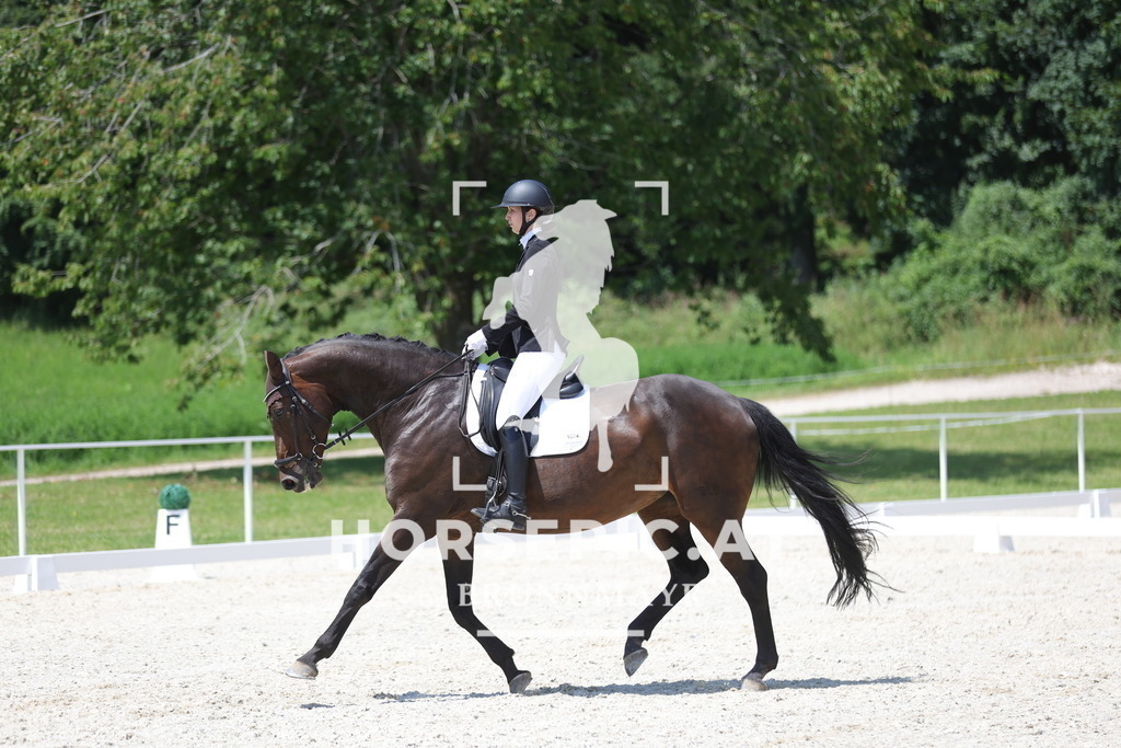 0P6A6033 | Willkommen bei Brunnmayr - Design & Fotografie – Ihrem Spezialisten für Reitturniere und Pferdeveranstaltungen in Oberösterreich, Salzburg und Bayern! Seit über 17 Jahren sind wir leidenschaftlich dabei.