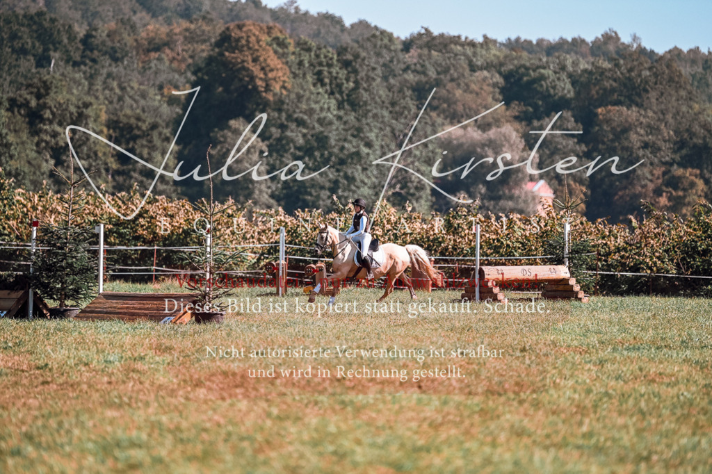 DSC_1122 | Pferde- und Turnierfotografie in Westsachsen. Pferdeportraits, Auftragszeichnungen und intuitive Kunst.
