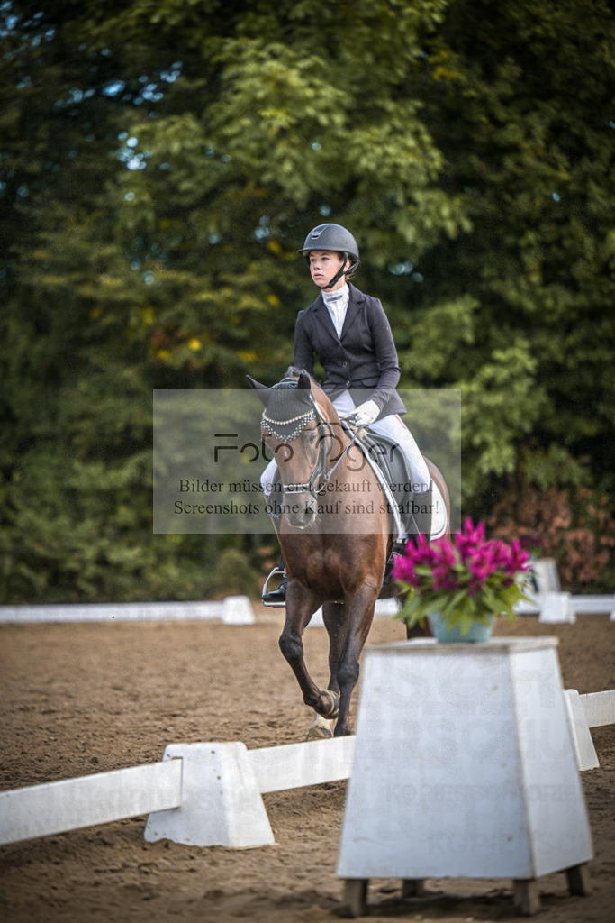 DOS_2379 | Entdecke hochwertige Reitturnierfotos von Foto Oger. Professionell, emotional und authentisch – jetzt Lieblingsmomente im Shop bestellen.Deutschlandweite Turnierfotografie. - Realisiert mit Pictrs.com