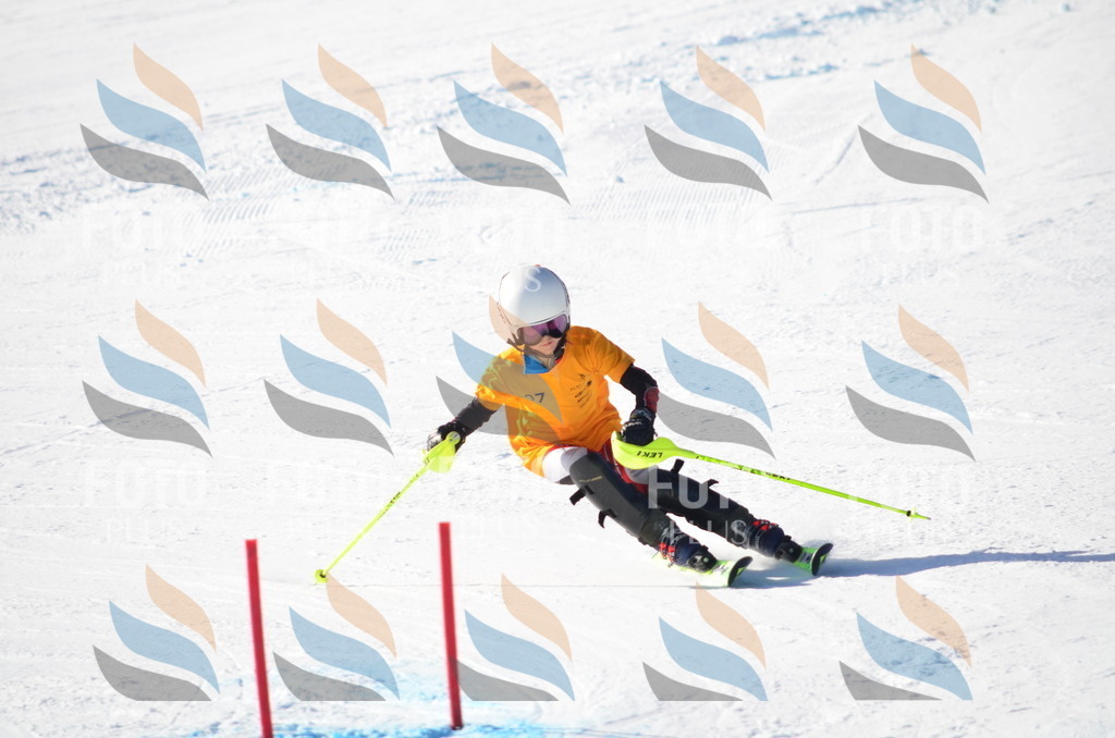 C6142 | holidayphoto