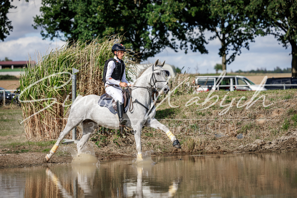 20260905-_3LI9875 | Tierfotografie Pferde, Hunde, Katzen, Haustiere.
Turnierfotografie Reitturniere, Reiten, Springreiten, Dressur in Hanau, dem Main-Kinzig-Kreis und dem Rhein-Main- Gebiet um Frankfurt