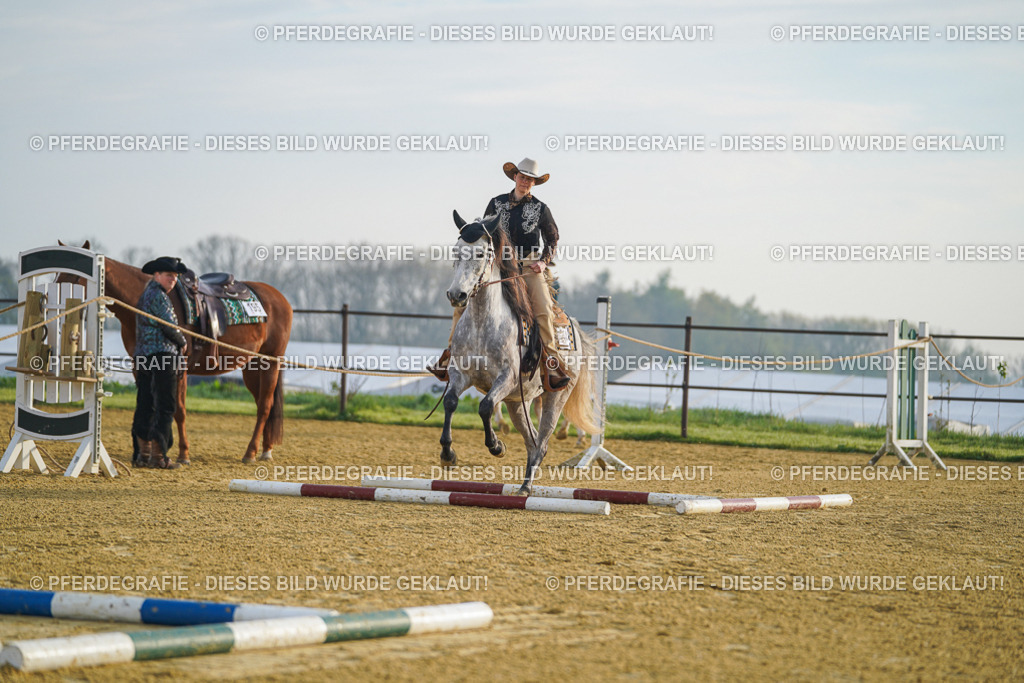 DSC09666 | Pferdegrafie