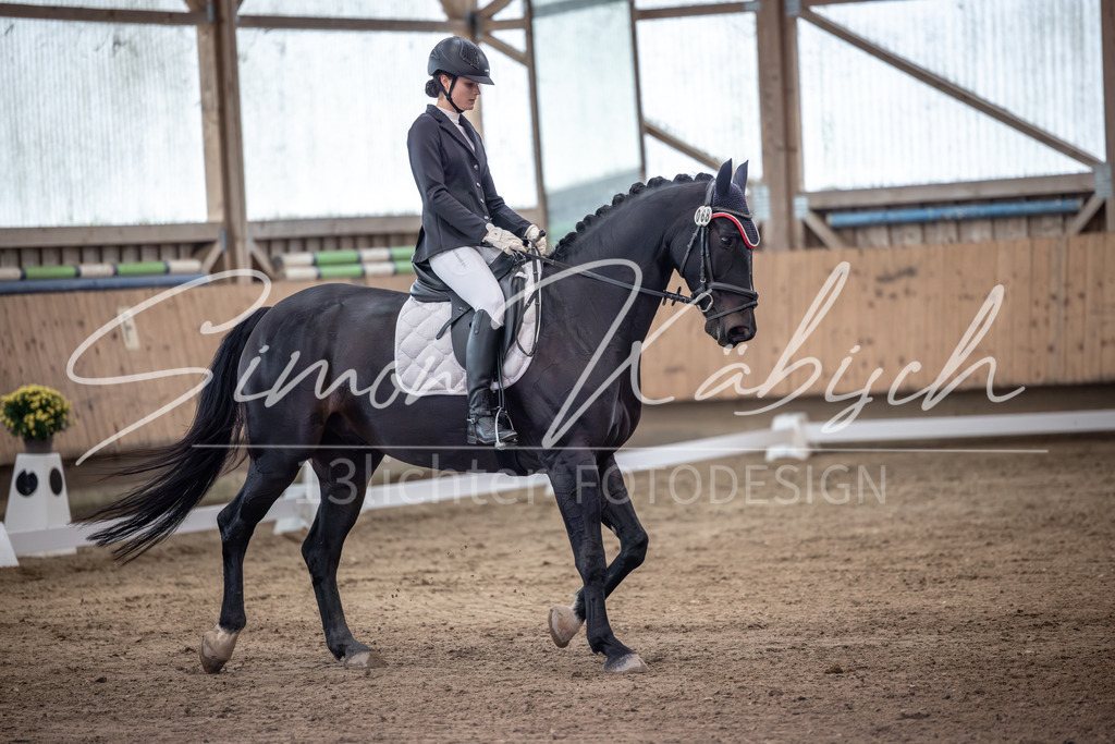 20251011-_3LI1459 | Tierfotografie Pferde, Hunde, Katzen, Haustiere.
Turnierfotografie Reitturniere, Reiten, Springreiten, Dressur in Hanau, dem Main-Kinzig-Kreis und dem Rhein-Main- Gebiet um Frankfurt