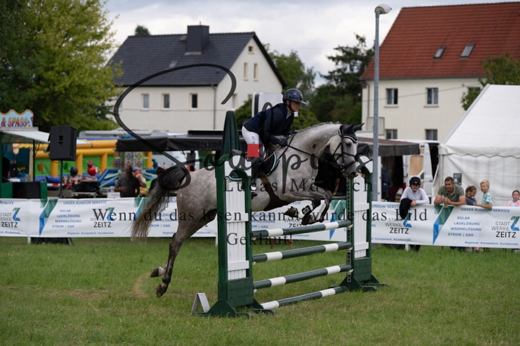 A7V04019 | Pferdefotograf