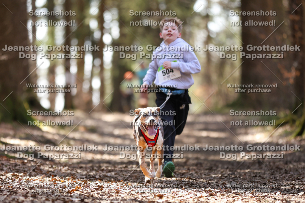 Dog Paparazzi - VCC26-1453 | Dog Paparazzi Jeanette Grottendiek Fotografie & Videografie - Realisiert mit Pictrs.com