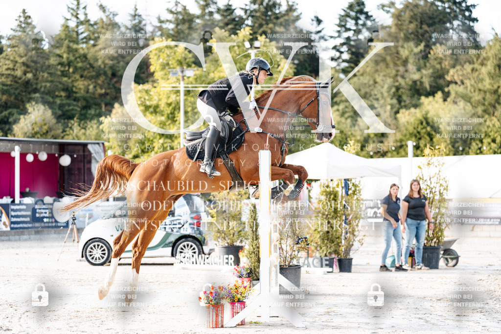 CK903291 | Turnierfotografie Pferdefotografie Trier Rheinland-Pfalz Pferdesport Reitsport Tierfotografie Sportfotografie Pferdevideo Pferdevideografie Equestrianvideography equestrianphotography  - Realisiert mit Pictrs.com