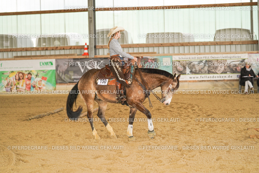 DSC02728 | Pferdegrafie