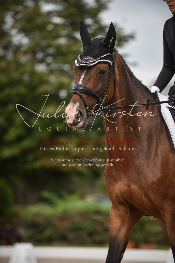 DSC_8522 | Pferde- und Turnierfotografie in Westsachsen. Pferdeportraits, Auftragszeichnungen und intuitive Kunst.
