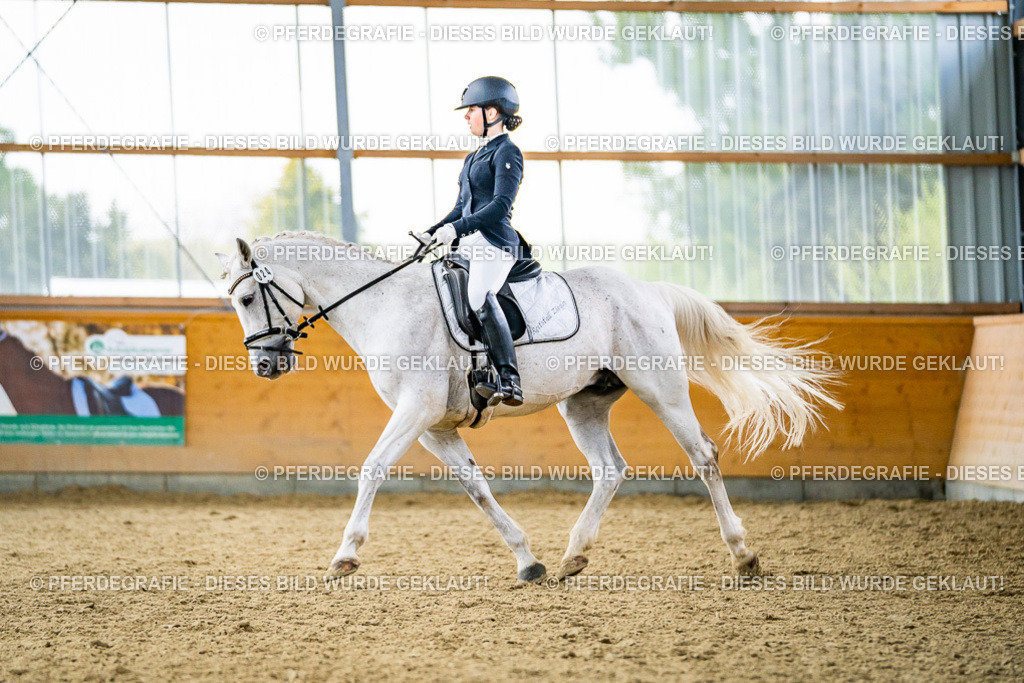 DSC04191 | Pferdegrafie