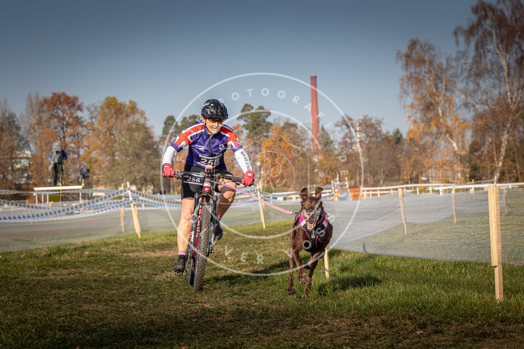 CaniXpix_0L8A6967 | Hundefotografie, Tierfotograf, Pfotenfotografie, Fotoshooting Hund, Hunde Portrait, Hundesport, Hundeportraits, Heideshooting, Hunde, Sportfotograf, Hundefotograf, Turnierhundsport, THS,  - Realisiert mit Pictrs.com