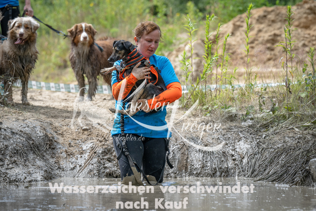 1121_ZZ91529 | kk-dogfotos