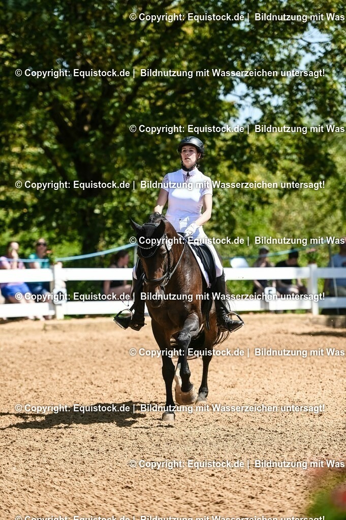 20230715_02_Dressurreiterprüfung Kl.L_0054 | equistock