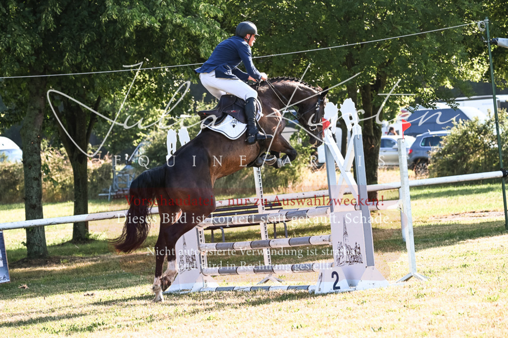 DSC_7445 | Pferde- und Turnierfotografie in Westsachsen. Pferdeportraits, Auftragszeichnungen und intuitive Kunst.