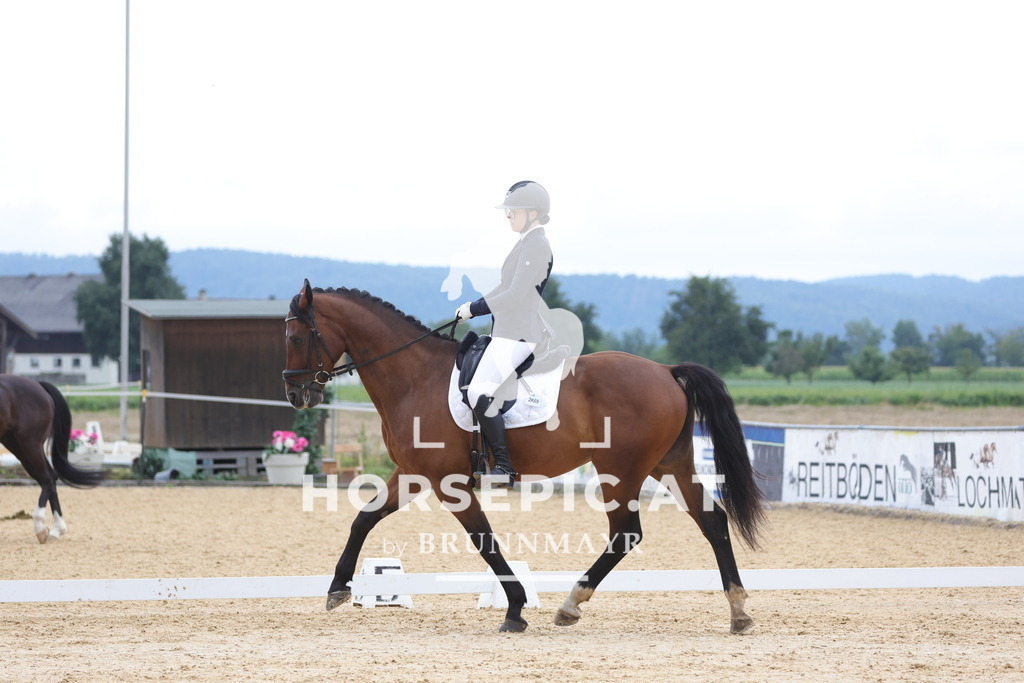 0P6A7862 | Willkommen bei Brunnmayr - Design & Fotografie – Ihrem Spezialisten für Reitturniere und Pferdeveranstaltungen in Oberösterreich, Salzburg und Bayern! Seit über 17 Jahren sind wir leidenschaftlich dabei.