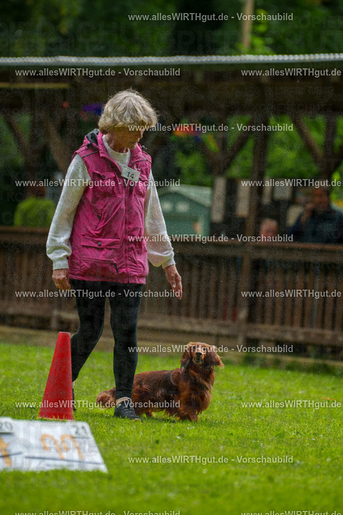 @allesWIRTHgut_Tierfotografie - www.allesWIRTHgut.de - 090918-7R506612 | Professionelle Tierfotografie in Mönchengladbach von Daniel Wirth (allesWIRTHgut). Liebevolle & natürliche Bilder von Hunden & Katzen für unvergessliche Erinnerungen.