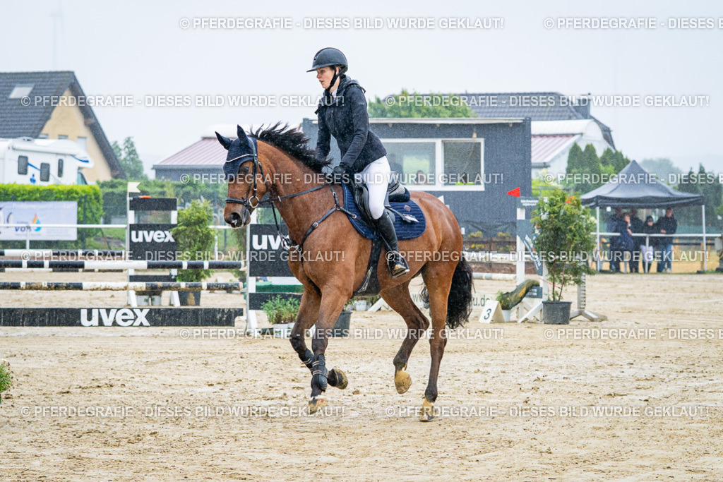 DSC02922 | Pferdegrafie