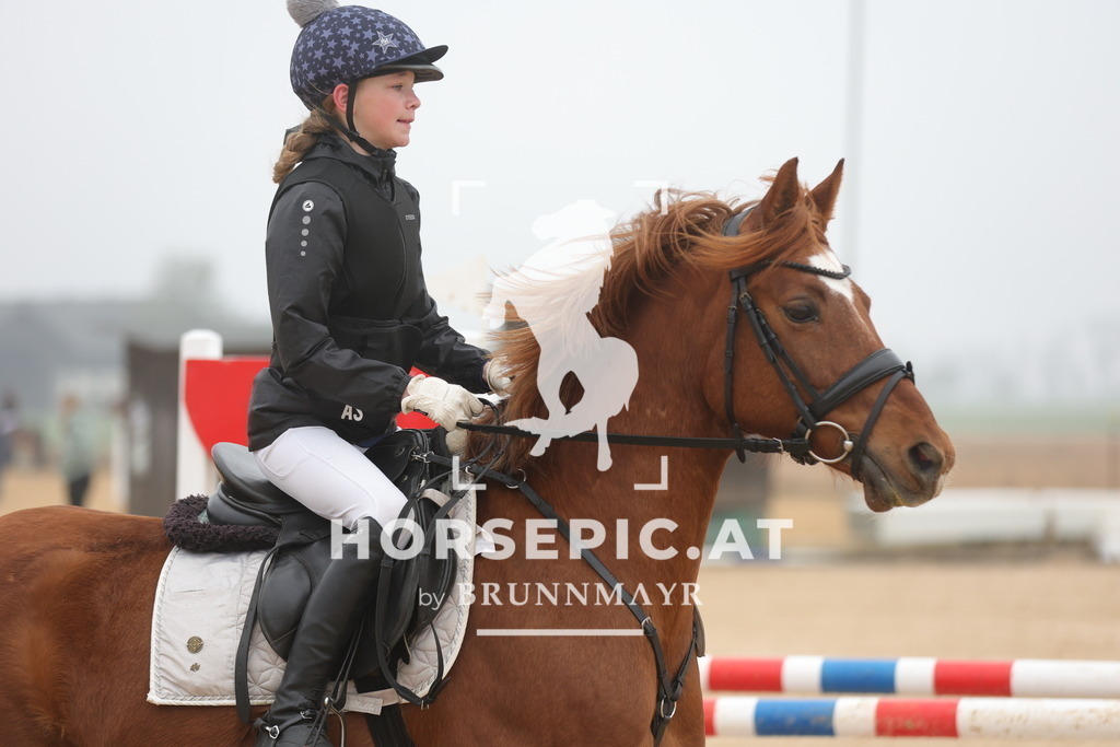 0P6A8219 | Willkommen bei Brunnmayr - Design & Fotografie – Ihrem Spezialisten für Reitturniere und Pferdeveranstaltungen in Oberösterreich, Salzburg und Bayern! Seit über 17 Jahren sind wir leidenschaftlich dabei.