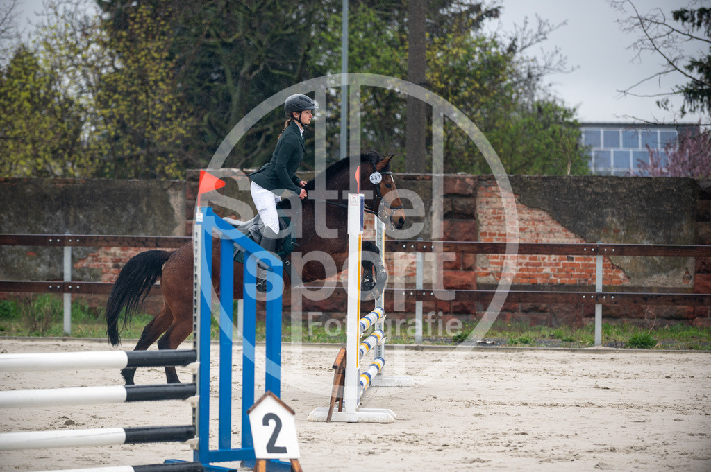 DSC_8371 | sattelsport - Realisiert mit Pictrs.com