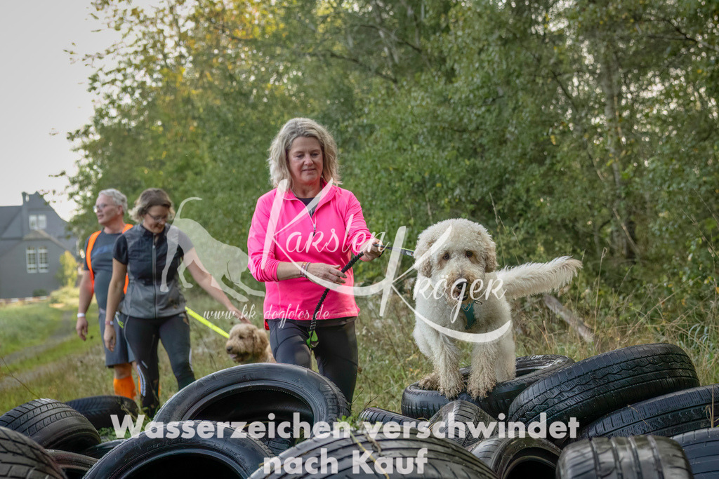 1015_ZZ94107-Bearbeitet-2 | kk-dogfotos