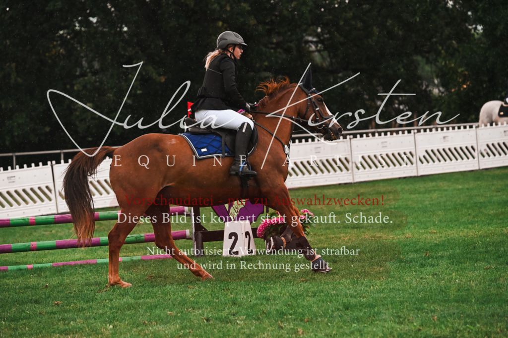 DSC_6082 | Pferde- und Turnierfotografie in Westsachsen. Pferdeportraits, Auftragszeichnungen und intuitive Kunst.