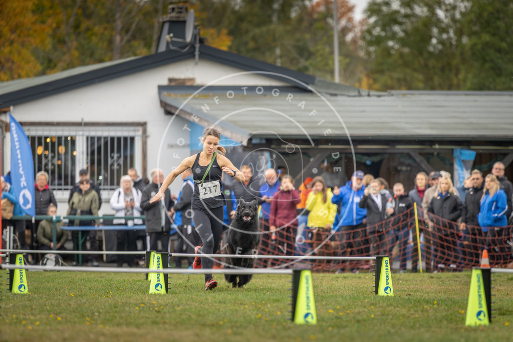 Pfotenfotografie_DV3A2956 | Hundefotografie, Tierfotograf, Pfotenfotografie, Fotoshooting Hund, Hunde Portrait, Hundesport, Hundeportraits, Heideshooting, Hunde, Sportfotograf, Hundefotograf, Turnierhundsport, THS,  - Realisiert mit Pictrs.com