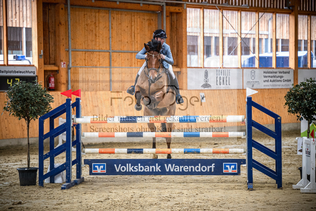 DOS_0596 | Entdecke hochwertige Reitturnierfotos von Foto Oger. Professionell, emotional und authentisch – jetzt Lieblingsmomente im Shop bestellen.Deutschlandweite Turnierfotografie. - Realisiert mit Pictrs.com