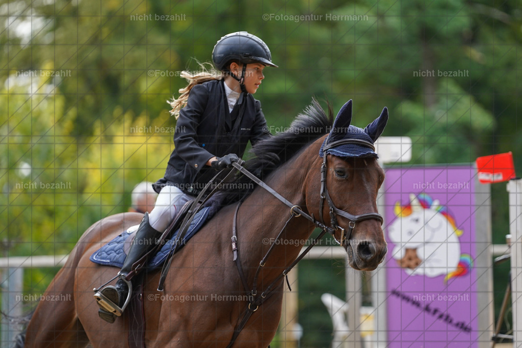20231008-SN_01215 | Professionelle Turnier- und Reitsportfotografie - mit dem Finger am Auslöser. Pferdebilder aus dem Reitsport von den Turnierfotografen  Bayern , Pferdefotograf Bayern, Pferdeshooting Turnierbilder, Hochzeitsfotograf, Eventfotograf, Hochzeitsbilder