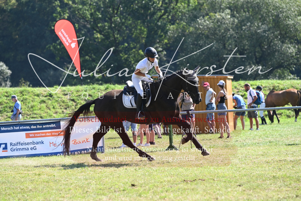 DSC_6395 | Pferde- und Turnierfotografie in Westsachsen. Pferdeportraits, Auftragszeichnungen und intuitive Kunst.