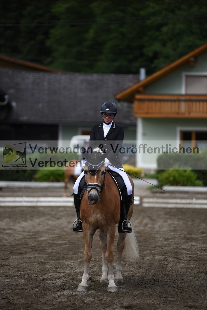 DSC_5084 | equestrian-live-com