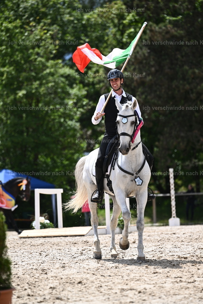 PI26_GesamtSEhrung_Sara_Landvogt_226_6250.JPG | working equitationturnier fotograf videograf stoibphotography marixx film working equitation deutschland reitsport turnierfotografie eventfotografie equestrian events