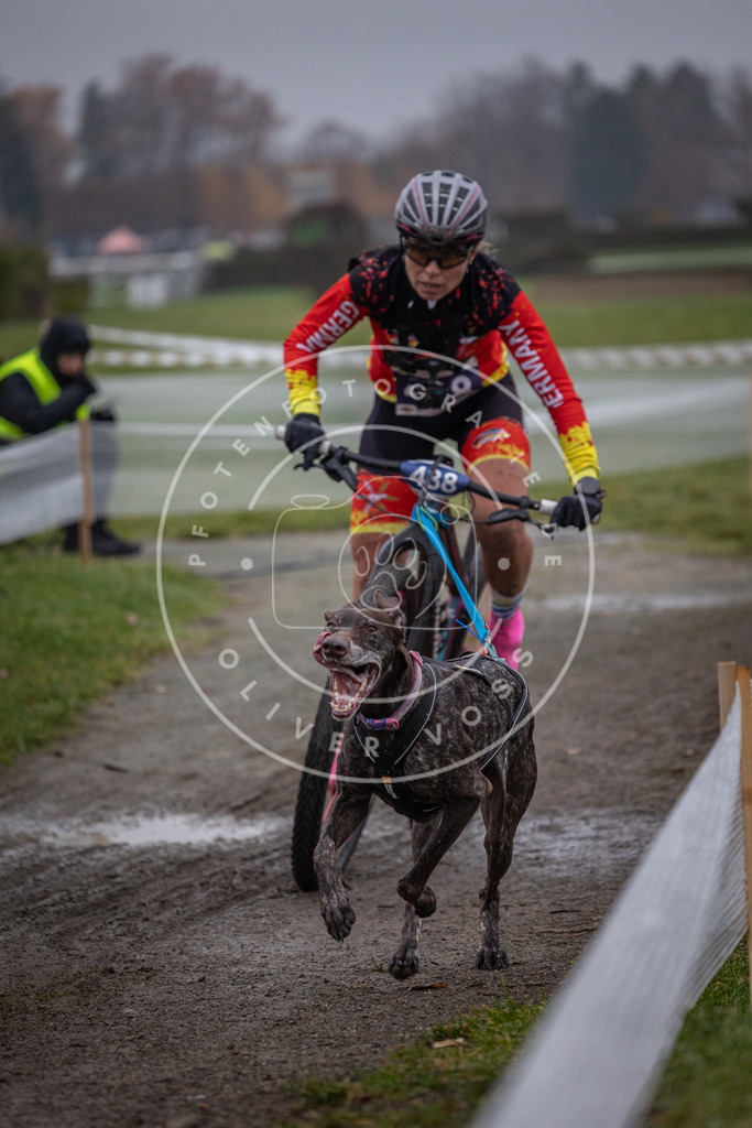 CaniXpix_0L8A1140 | Hundefotografie, Tierfotograf, Pfotenfotografie, Fotoshooting Hund, Hunde Portrait, Hundesport, Hundeportraits, Heideshooting, Hunde, Sportfotograf, Hundefotograf, Turnierhundsport, THS,  - Realisiert mit Pictrs.com