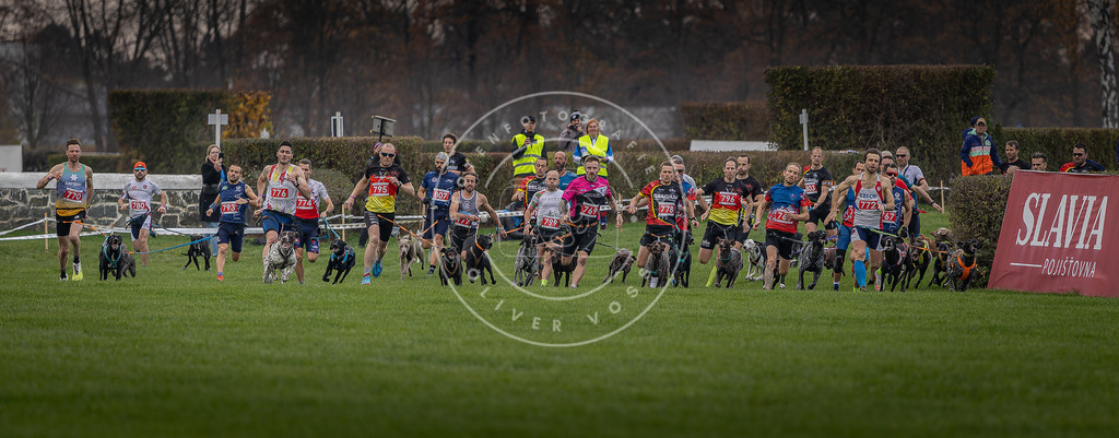CaniXpix_DV3A5800 | Hundefotografie, Tierfotograf, Pfotenfotografie, Fotoshooting Hund, Hunde Portrait, Hundesport, Hundeportraits, Heideshooting, Hunde, Sportfotograf, Hundefotograf, Turnierhundsport, THS,  - Realisiert mit Pictrs.com