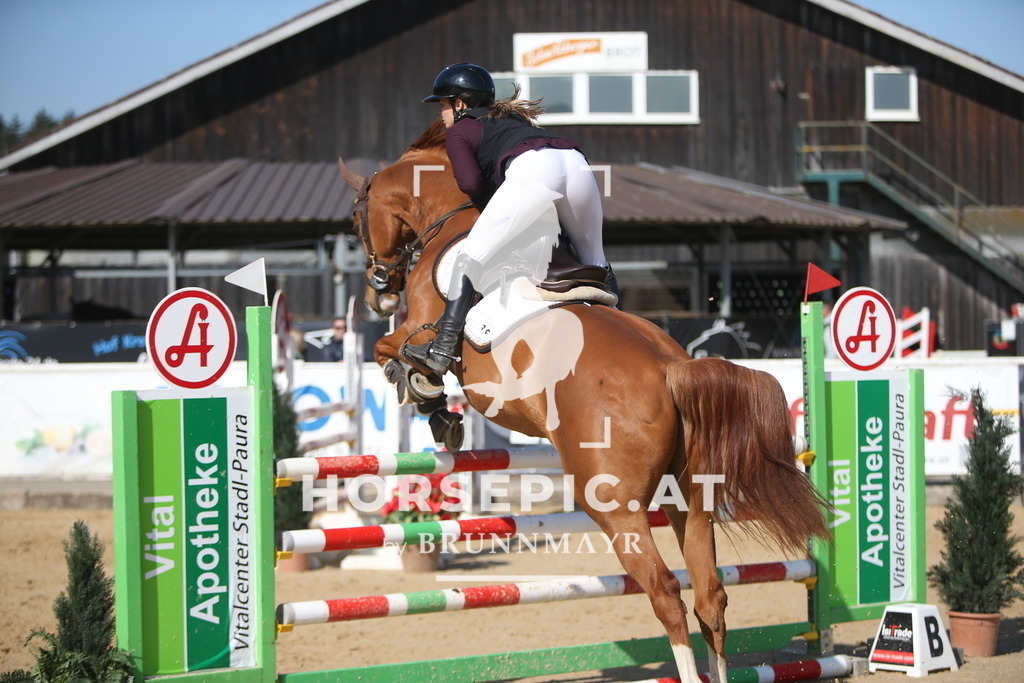 AS8V6011 | Willkommen bei Brunnmayr - Design & Fotografie – Ihrem Spezialisten für Reitturniere und Pferdeveranstaltungen in Oberösterreich, Salzburg und Bayern! Seit über 17 Jahren sind wir leidenschaftlich dabei.