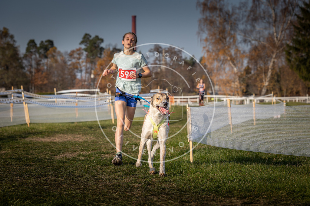 CaniXpix_0L8A0037 | Hundefotografie, Tierfotograf, Pfotenfotografie, Fotoshooting Hund, Hunde Portrait, Hundesport, Hundeportraits, Heideshooting, Hunde, Sportfotograf, Hundefotograf, Turnierhundsport, THS,  - Realisiert mit Pictrs.com