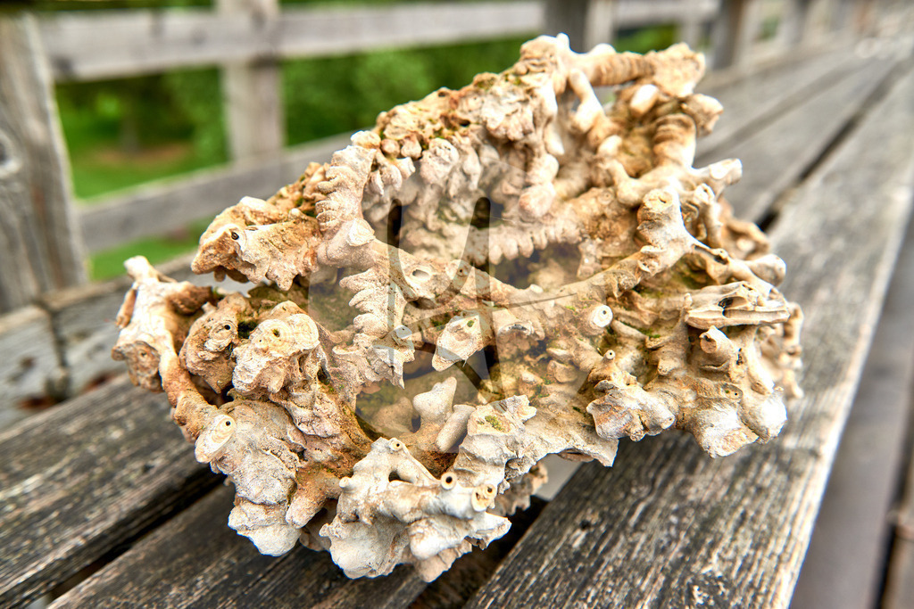 Gradierwerk, Osnabrückerland, Niedersachsen | Meurer Shop - Realisiert mit Pictrs.com