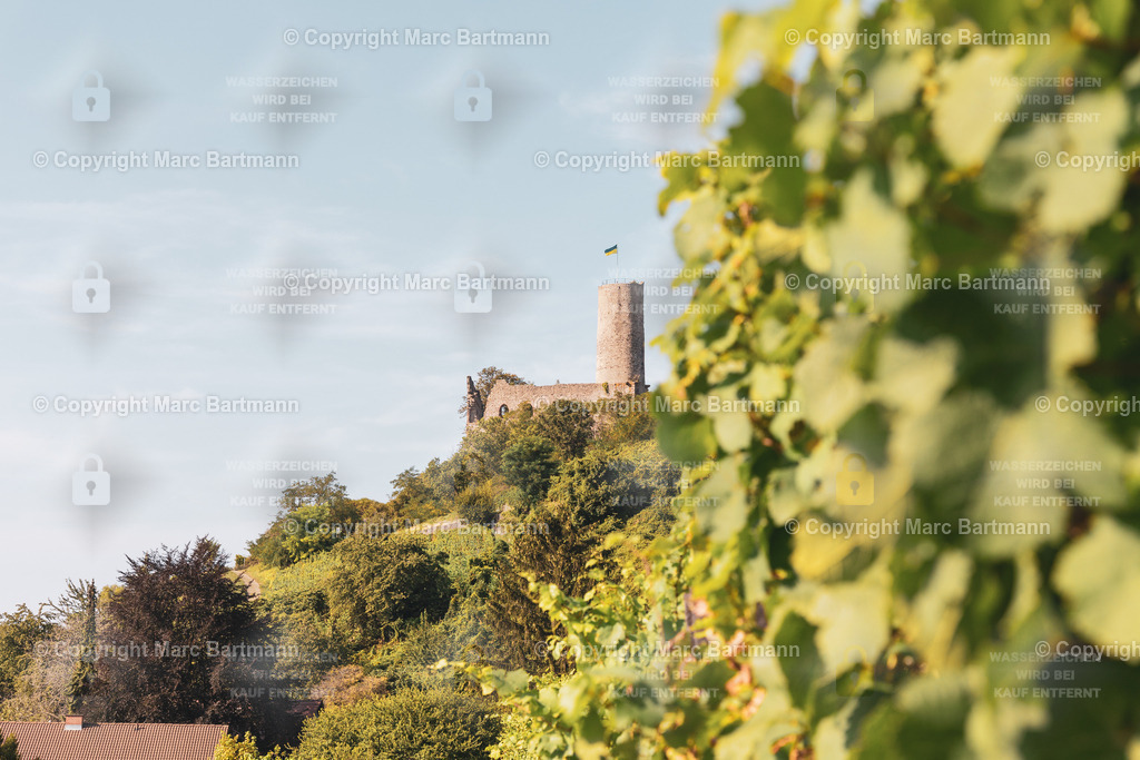 H31A8862 | Marc Bartmann - Fotografie Schriesheim - Realisiert mit Pictrs.com