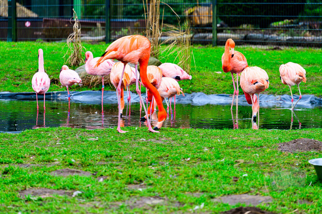 _DSC4362 | Shop für Prints Landschaftsfotografie Sächsische Schweiz Naturfotografie in Thüringen Fotos vom Findlingspark Nochten Kloster Sankt Marienstern Bilder Festung Königstein PanoramaRhododendronpark Kromlau FotogalerSchleswig-Holstein Küstenlandschaften