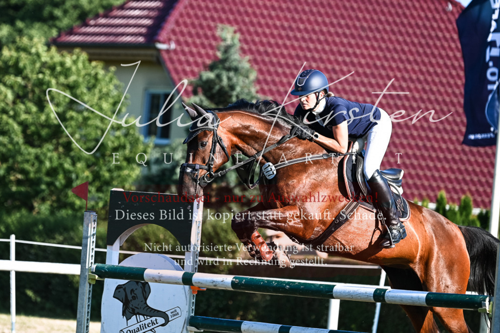 DSC_2966 | Pferde- und Turnierfotografie in Westsachsen. Pferdeportraits, Auftragszeichnungen und intuitive Kunst.