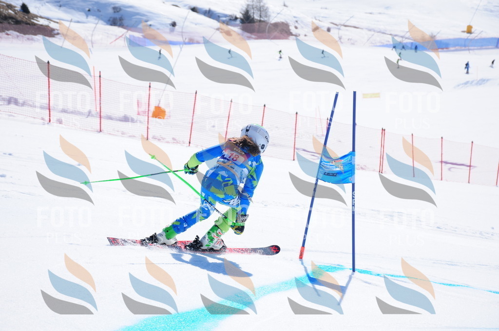 DSC_3795 | holidayphoto